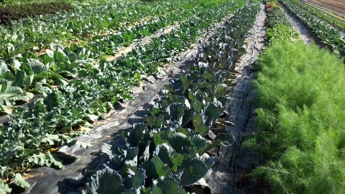 2012-05-28_17-28-13_51