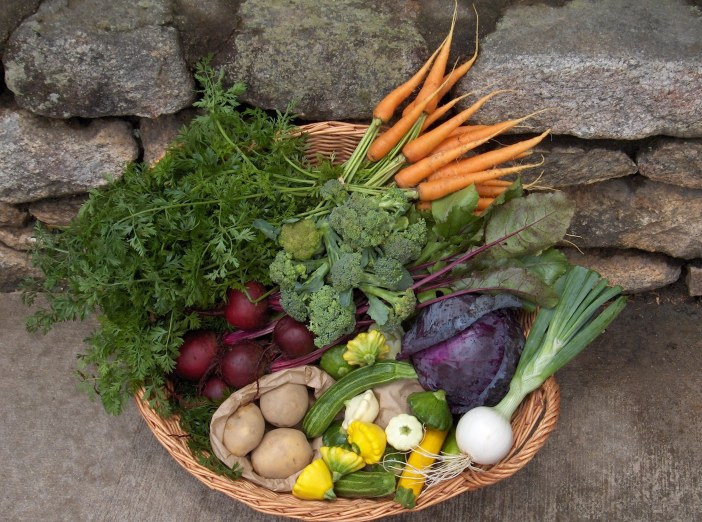 Signature basket with right crop