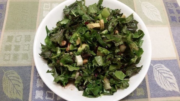 Salad 13512198_1220649217954674_498539964669294316_n