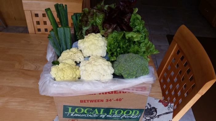 13516228_1220654747954121_3106113678188538973_n