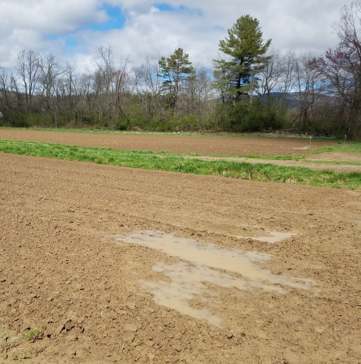 20200325_141425 (2) cropped