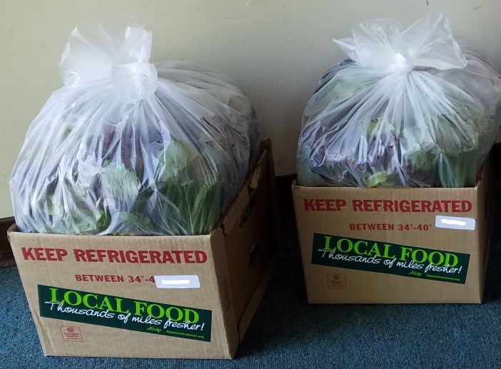 20180606_124241 (2)_LI