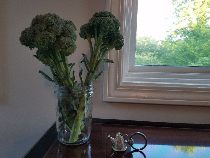Broccoli Stalks 20200611_195941