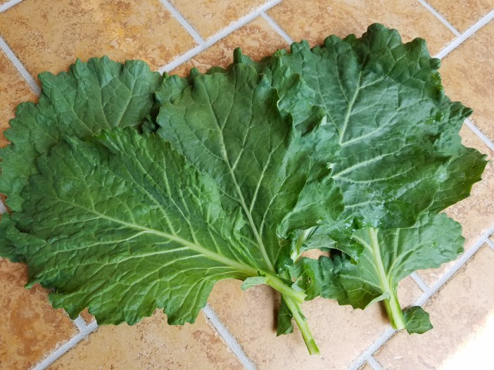 Collards 20200614_123300