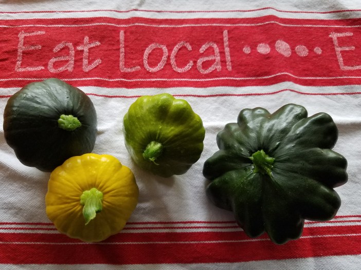 Patty Pan Summer Squash Variety 20200705_194132