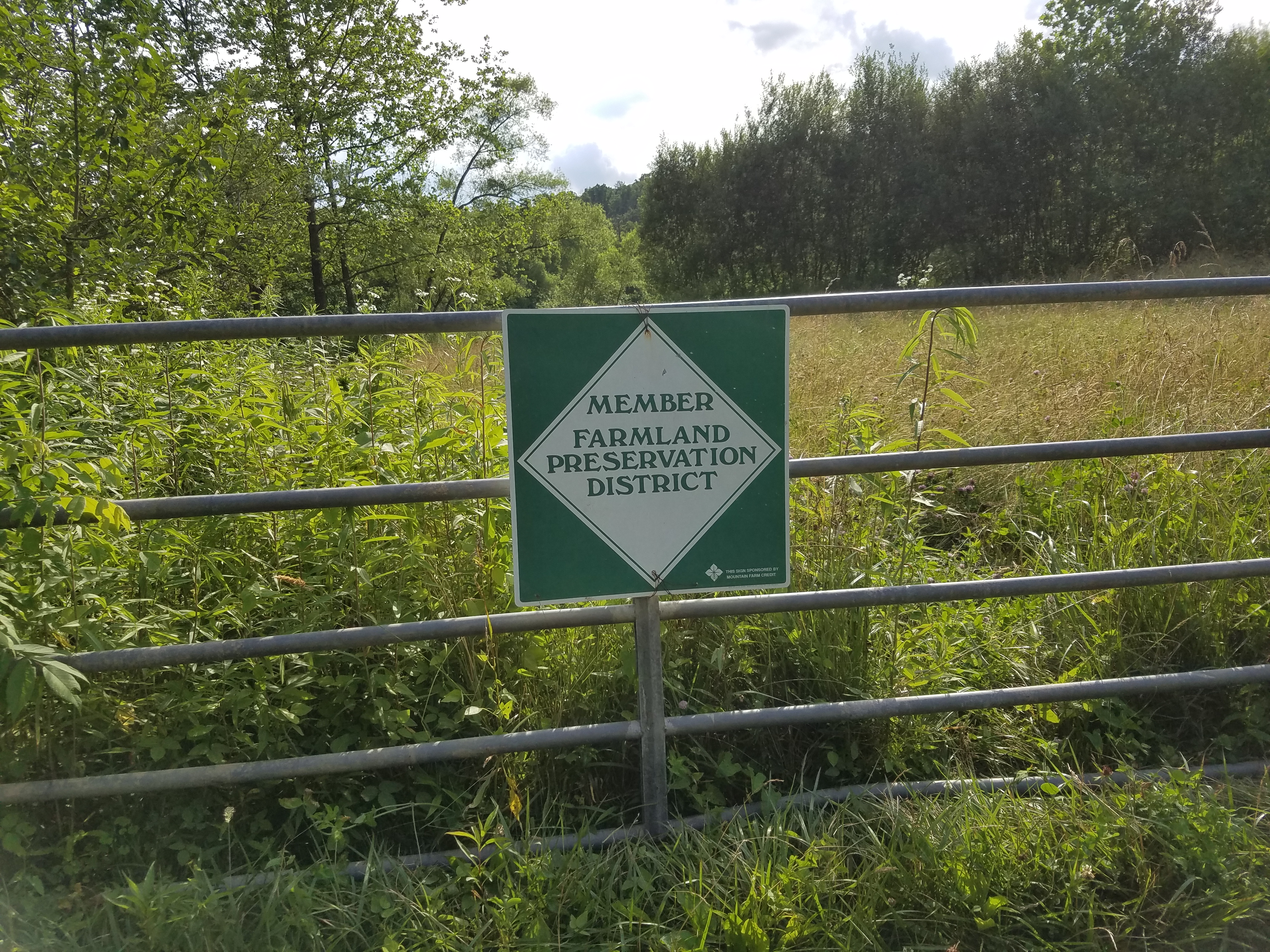 Welcome to the Garden 20200626_180636