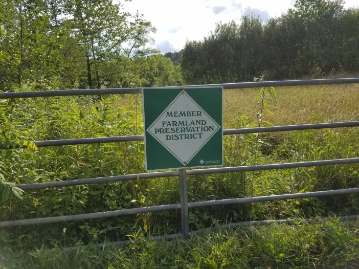 Welcome to the Garden 20200626_180636