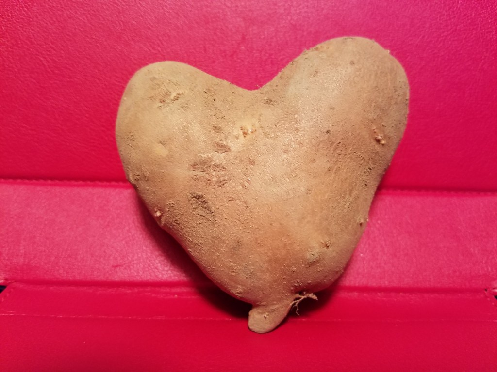 This image has an empty alt attribute; its file name is toys-potato-heart-20161118_193514.jpg