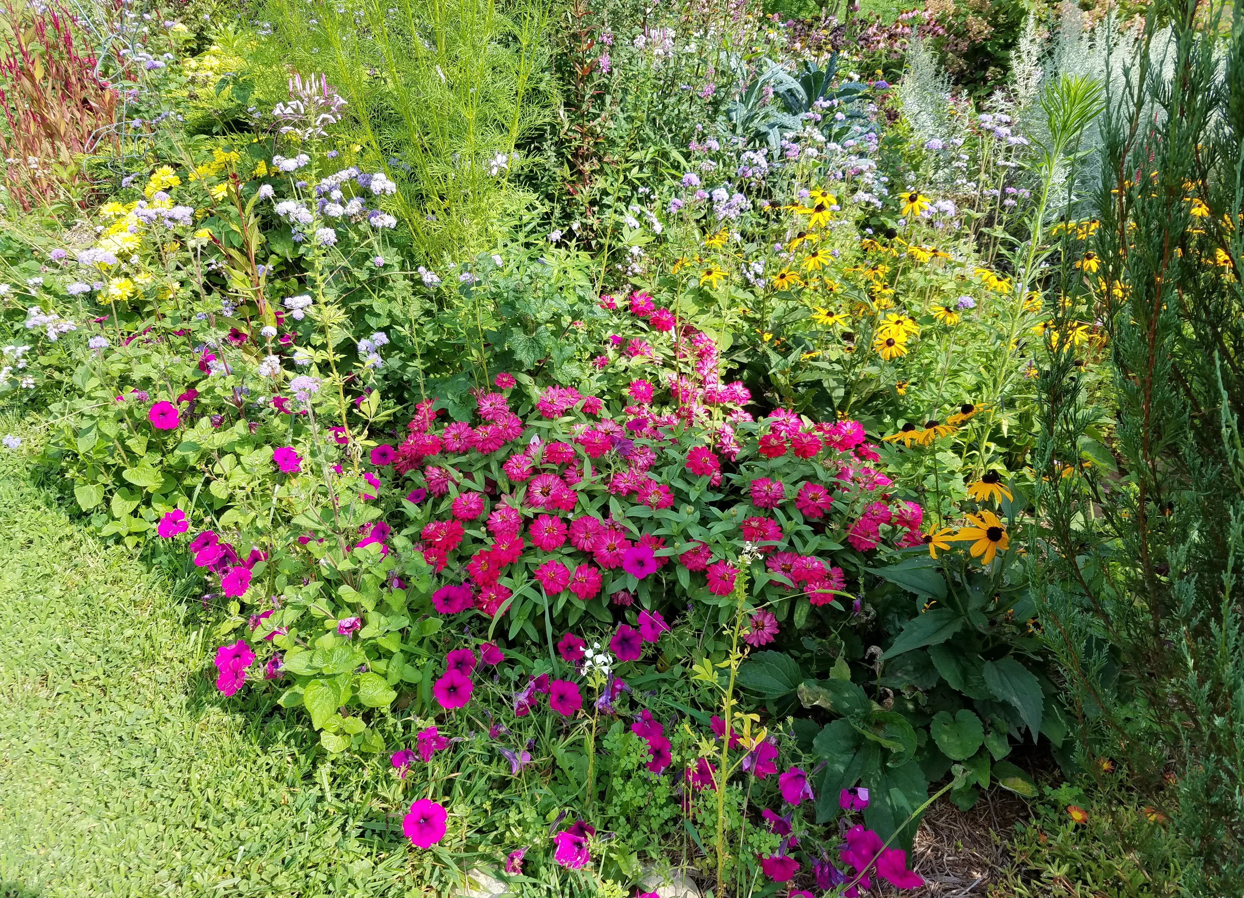 Troyers Country Amish Blatz Fairview Flowers 20200807_164931 (2)