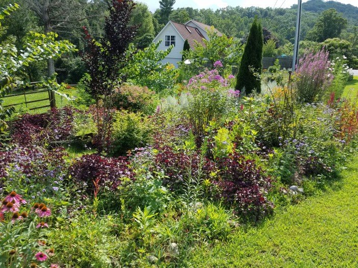 Troyers Country Amish Blatz Fairview Flowers 20200807_165011