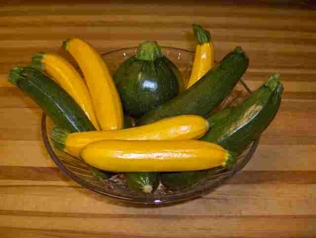 This image has an empty alt attribute; its file name is zucchini-in-yellow-green-eightball-hpim3460.jpg