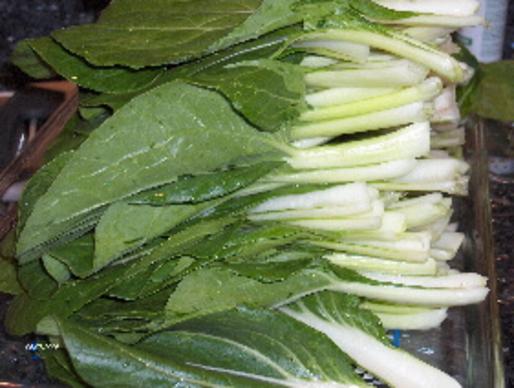 This image has an empty alt attribute; its file name is choi.jpg