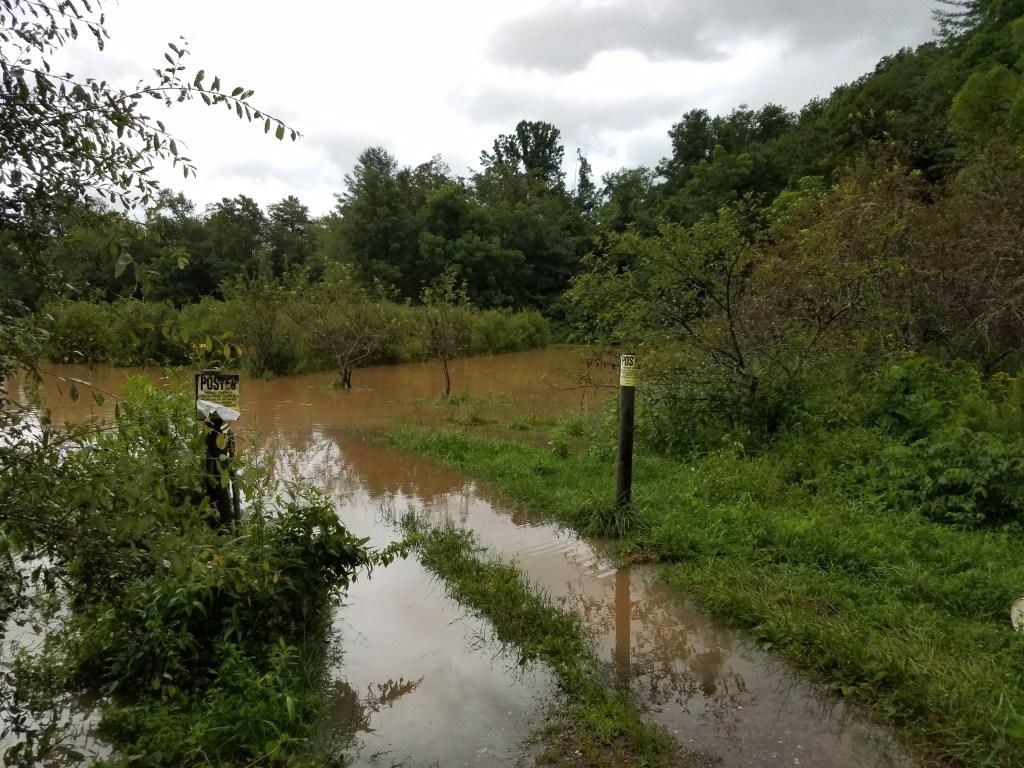 This image has an empty alt attribute; its file name is 20210817_195131.jpg